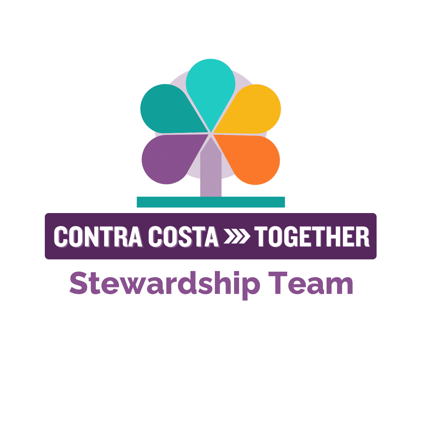 CTT Stewardship Team_large