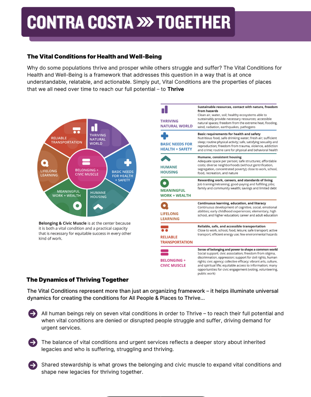 Vital Conditions for Well Being and Dynamics for Thriving Together screenshot of a one-pager